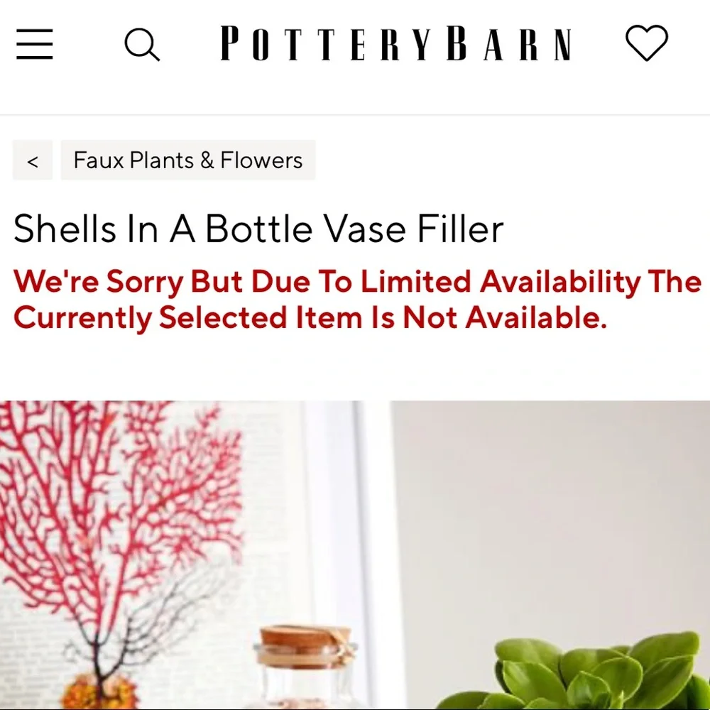Pottery Barn Sally’s Seashore Seashells “Shells In A Bottle” Vase Filler 🐚 - Picture 14 of 16